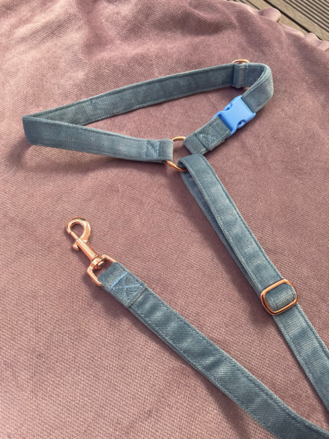 Pas samochodowy na zagłówek dla psa