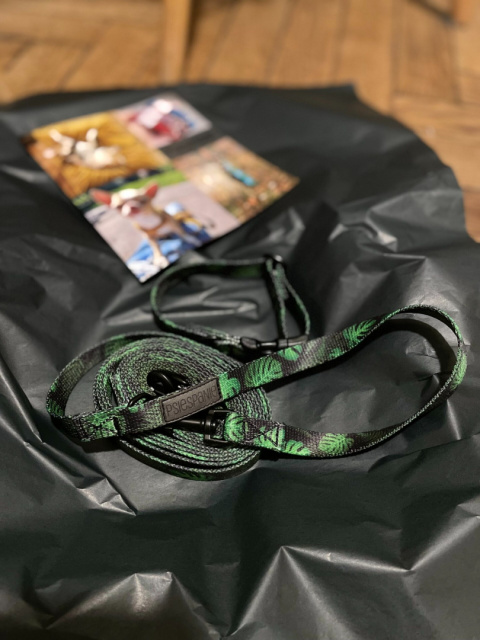 Smycz dla psa monstery