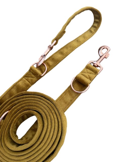 MUSZTARDOWA smycz dla psa