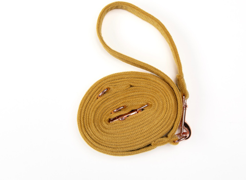 CYTRYNOWA smycz dla psa