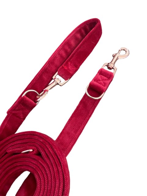 CZERWONA smycz dla psa