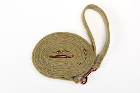 LIMONKOWA smycz dla psa