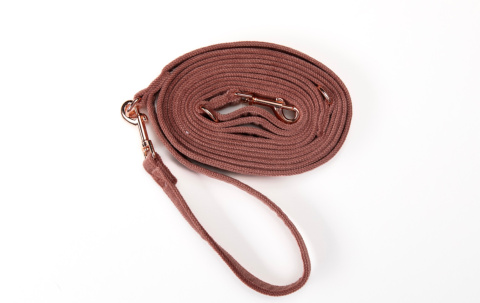 ŁOSOSIOWO RÓŻOWA smycz dla psa