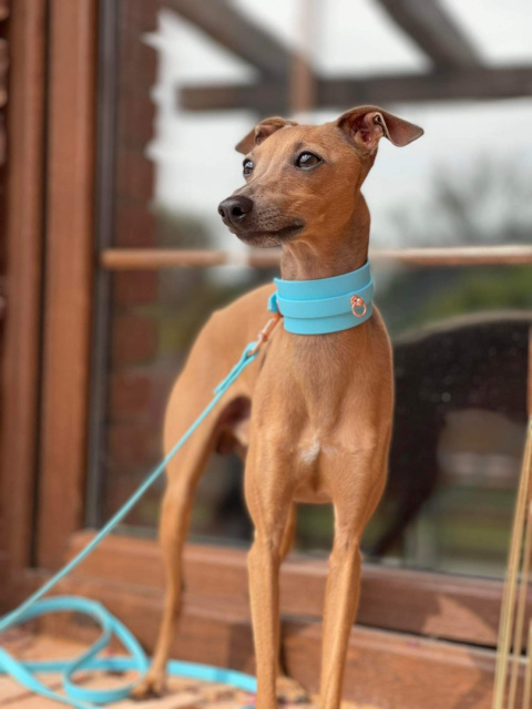 Smycz przepinana Biothane ® Smycz przepinana Biothane ®