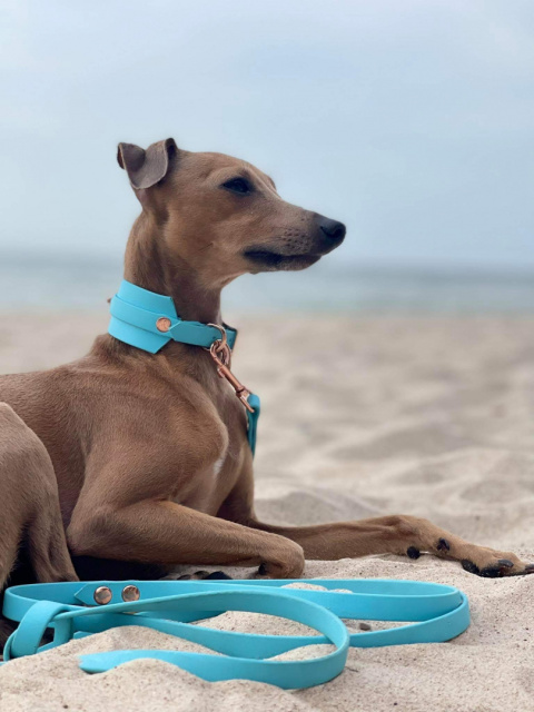 Linka treningowa Biothane ® 13mm Linka treningowa Biothane ® 13mm