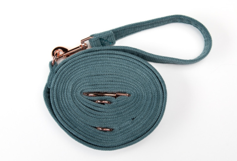 NIEBIESKA smycz dla psa