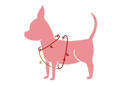 CURLY szelki bezuciskowe