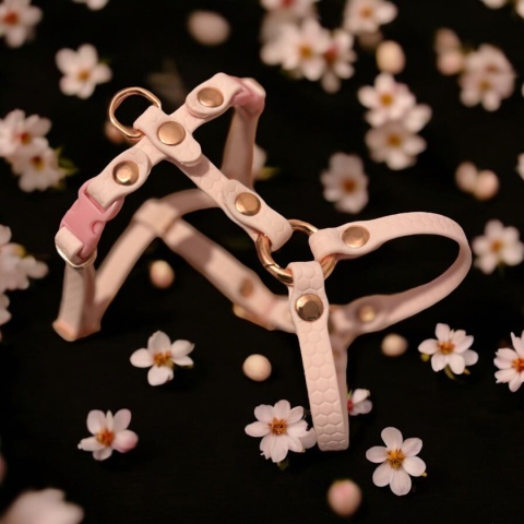 Szelki HEXA lekkie Biothane 10mm