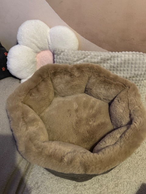 LEGOWISKO PÉRLA (curly)