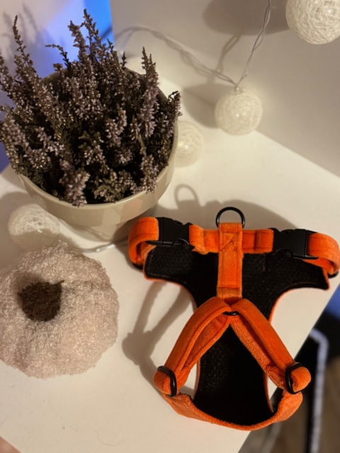 Smycz dla psa HALLOWWEEN Smycz dla psa HALLOWWEEN