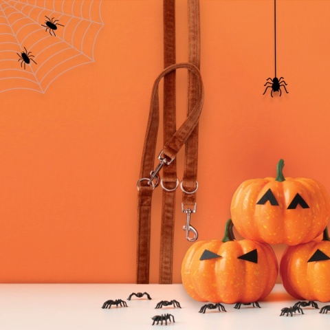 Smycz dla psa HALLOWWEEN Smycz dla psa HALLOWWEEN