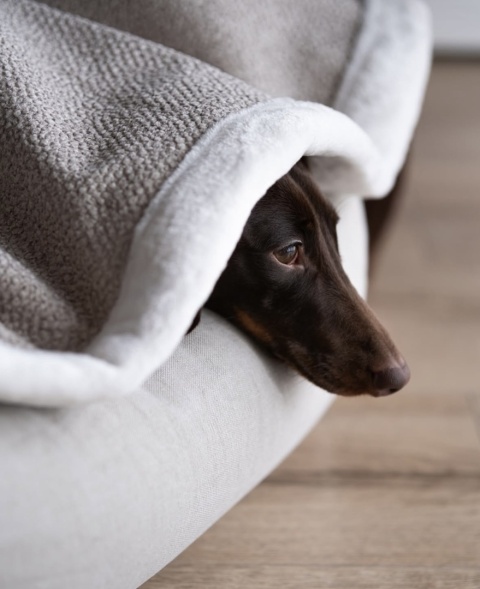 ŚpiWorek CURLY dla psa