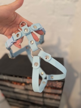 Szelki HEXA 20mm