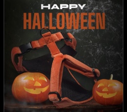 Szelki bezuciskowe HALLOWEEN 🎃