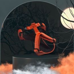 Szelki guard HALLOWEEN 🎃